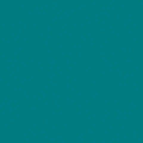 teal blue - Women's Tuck-in V-Neck Top