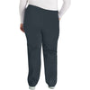 pewter - Natural Rise Tapered Leg Pull-On Pant