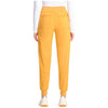 gold rush - Mid Rise Jogger