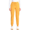 gold rush - Mid Rise Jogger