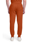Warm Sunrise - Healing Hands Quest Men Scrub Pants - Back View