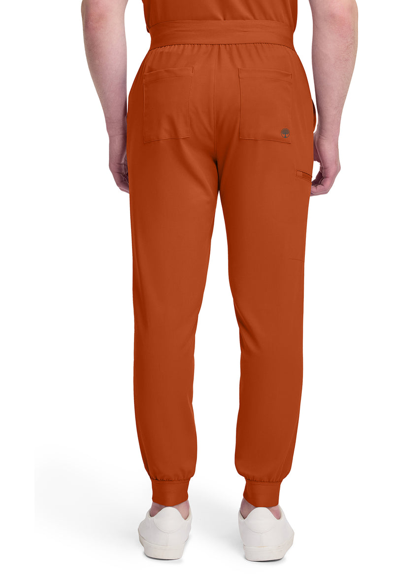 Warm Sunrise - Healing Hands Quest Men Scrub Pants - Back View