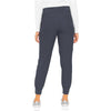 pewter - Jogger