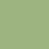 sage green - V-Neck Top