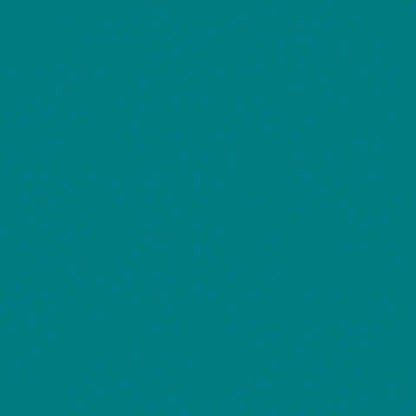 Men's Fly Front Cargo Pant