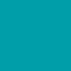 teal blue - Unisex Drawstring Pant