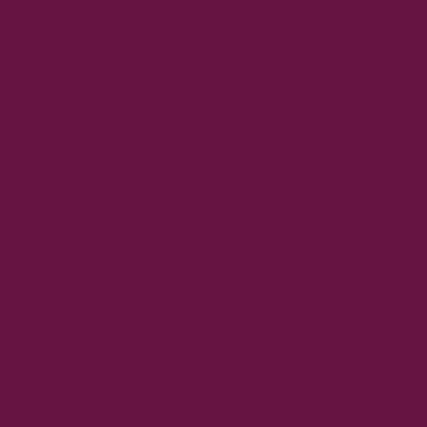 wine - Round Neck Tuckable Top